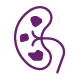 Kamica nerkowa/moczowodowa icon